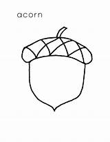 Acorn Coloring Pages Drawing Line Coloringsky Clipartmag sketch template