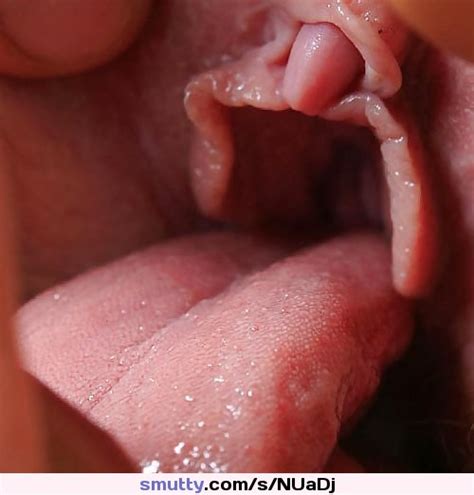 Puss Licking Pussy Eating Pussy Clitoris Tongue