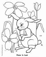 Peter Rabbit Coloring Pages Story Lost Away Gets He Asks Help Click Fairy sketch template