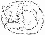 Coloring Kitten Pages Cat Cute Realistic Template Color Baby Templates Sleeping Colouring Kittens Shape Clipart Cartoon Animal Library Popular Coloringhome sketch template