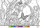 Number Color Flower Garden Coloring Pages Spring Template Printable Worksheets Supercoloring Templates Categories sketch template