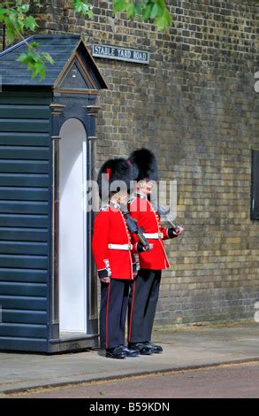 guards  guard duty guarding amalienborg   royal palace
