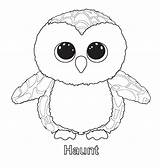 Coloring Ty Pages Beanie Boo Preschooler Gnome Night sketch template