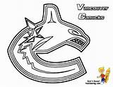 Canucks Vancouver Hockey Nhl Logos Leafs Columbia Knights Golden Sheets Jersey Yescoloring Edmonton Oilers Clipground Pinu Zdroj Coloringpages sketch template