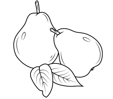 simple pear fruit coloring page  printable coloring pages  kids