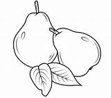 Peras Pears Birnen Pera Pear Mewarnai Pere Disegno Hitam Putih Colorear Birne Paud Buahan Kolorowanki Desenho Ausmalen Usia Gruszki Sketsa sketch template