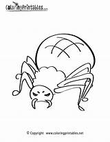 Coloring Spider Printable Pages Boys Library Clipart Books sketch template