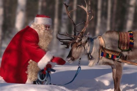 Print Of Santa Claus Feeding His Reindeer Reindeer Santa Claus