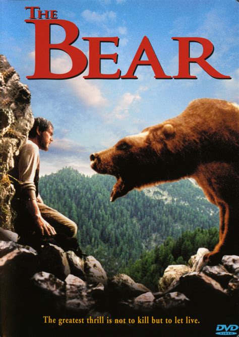 bear  dvd cover kellerman design