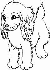 Coloring Puppy Spaniel Pages Puppies Dogs Golden Cocker Retriever Print Boykin Dog Springer Drawing Printable Kids Colouring Sheets Lab Kitten sketch template