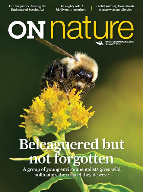 nature magazine summer page