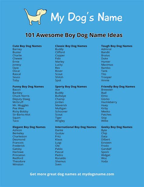 boy dog  ideas  dogs