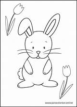 Conejos Conejo Pintar Paracolorear sketch template