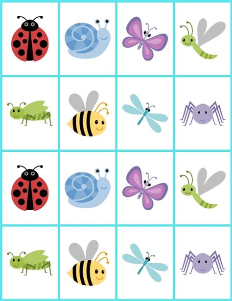 insect  bug matching game  kids