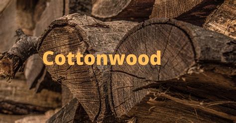 cottonwood good firewood complete guide  backyardowl
