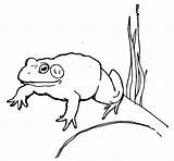 Frog Coloring Pages Leaping Cliparts Library Clipart sketch template