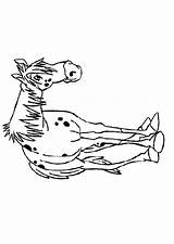 Pippi Langstrumpf Longstocking Coloring Ausmalbild Pages Kids Fun Und Gif Paard sketch template