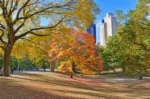 25 reasons you know it s fall in nyc