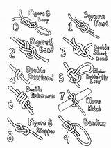 Knots Cheat Printable Sheet Knot Tying Tie Sheets Know Choose Board Figure Geocaching Geocache sketch template