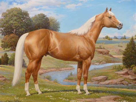 palomino american quarter horse