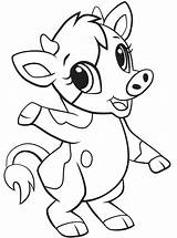 Cow Baby Coloring Pages Printable Kids Animals Categories sketch template