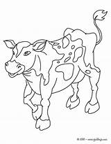 Vache Vaca Ausmalen Kuh Normande Hellokids Ausmalbilder Colorier Kawaii Drucken Granja Línea sketch template