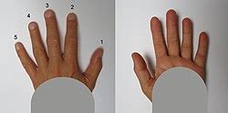 finger wikipedia