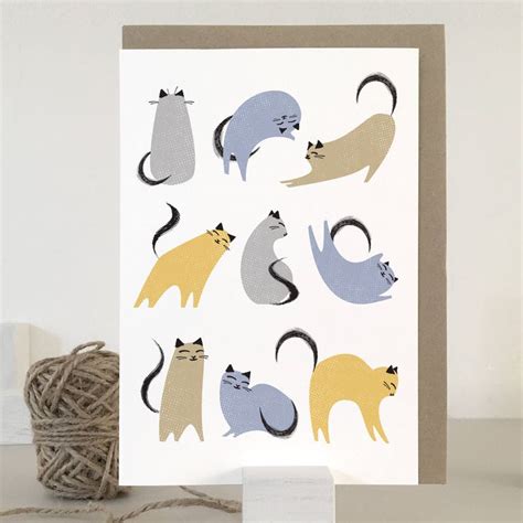 cat card blank cat notecards cat  cards wrapping papers