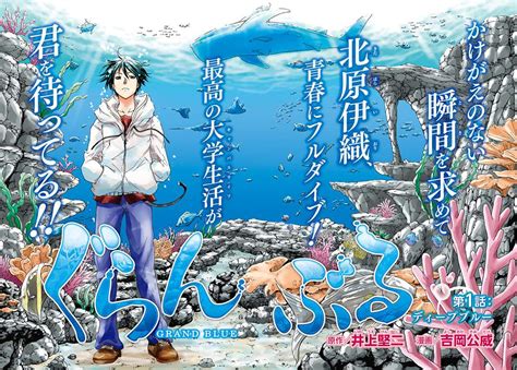 diving  harem grand blue dreaming diangkat menjadi anime tv