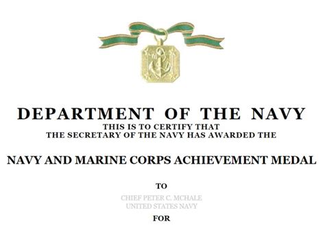 navy achievement medal citation examples