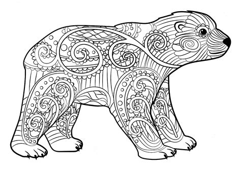 young bear  motifs bears kids coloring pages page