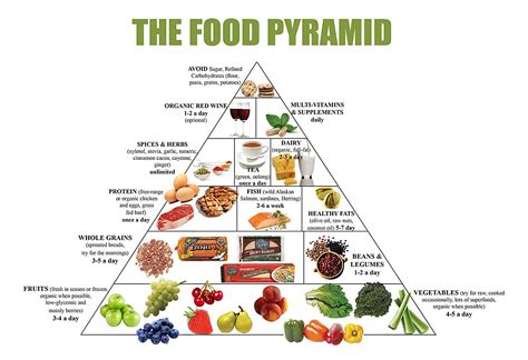 food pyramid quizizz