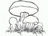 Coloring Mushrooms Pages Mushroom Printable Kids Funny sketch template