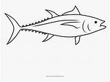 Tuna Kindpng sketch template