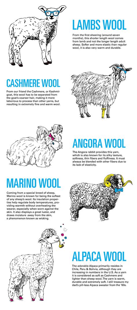 pin  mary crosby     raise sheep pinterest goats merino