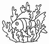 Algas Algues Poisson Nage Marinhas Algue Corail Alge Colorat Marinhos Marinas Peixinho Imagui Nemo Planse Tudodesenhos Albumdecoloriages Aprenden Divierten Juegan sketch template