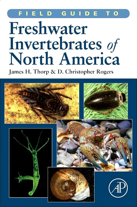 field guide to freshwater invertebrates of north america scribd