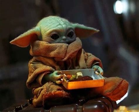 photo baby yoda eating dinner    metal dish