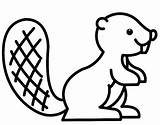 Beaver Coloring Animals Pages Drawings Drawing Printable sketch template