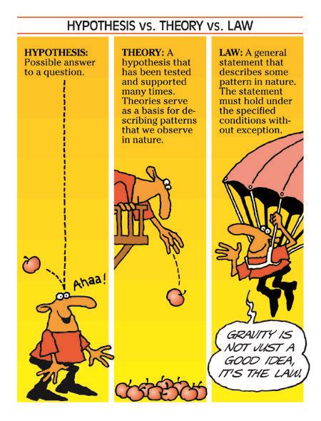 describe  difference   scientific hypothesis theory  law