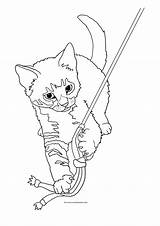Tabby Cats Lure Clipartqueen Calico sketch template