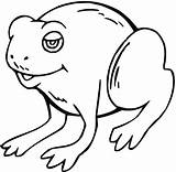 Toad Coloring Pages Toads Printable Categories sketch template