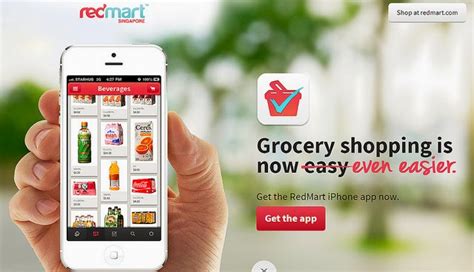foodservice solutions  grocery startup redmart rocking singapore