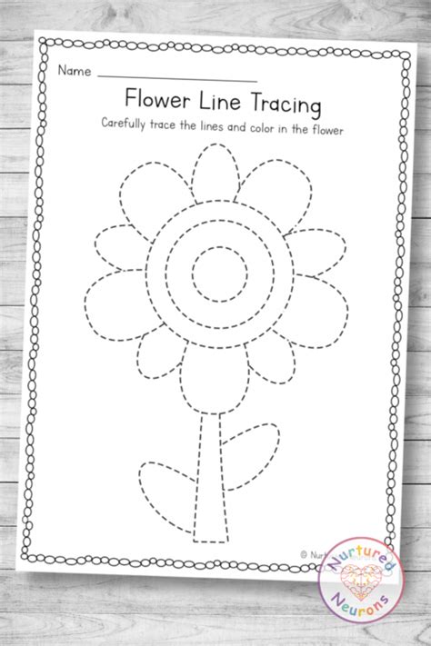 simple spring flower tracing worksheet preschool printable nurtured