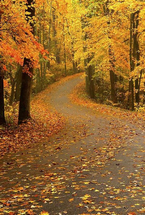 autumn  southern indiana favorite places pinterest madison