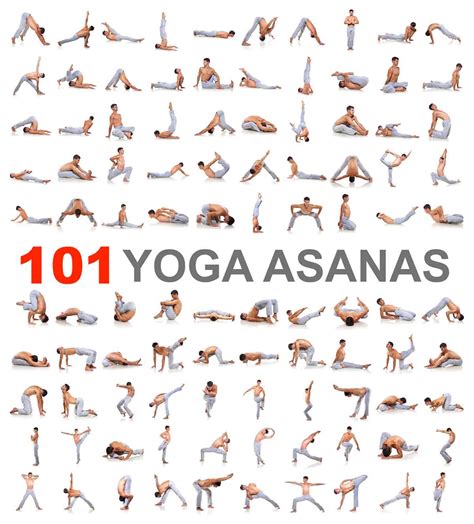 yin yoga pose chart   postcards yin yoga poses yoga poses bikram
