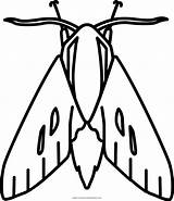 Moth Coloring Pages Printable Color Getcolorings Print sketch template