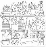 Cactus Colouring Colorir Houseplant Coloriages Terrarium Succulents Faciles Drawing Equidad Genero Colored Bordado Shopkins Suculentas Cleverpedia Flores Bordar sketch template