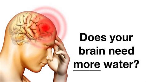 these things happen to your brain when you don t drink enough water