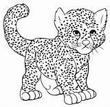 Cheetah K5worksheets K5 sketch template